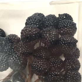 Blackberries On Wire x 64
