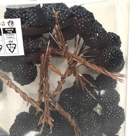 Blackberries On Wire x 64