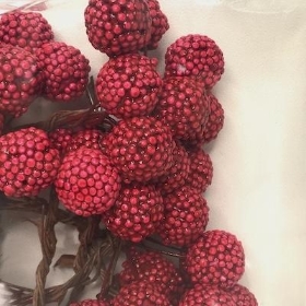 Raspberries On Wire x 64