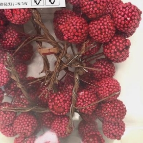 Raspberries On Wire x 64