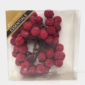 Raspberries On Wire x 64