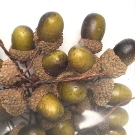 Green Brown Acorn Pick x 48