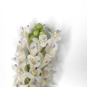 White Liatris 89cm