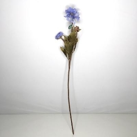 Lilac Scabious 59cm
