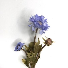 Lilac Scabious 59cm