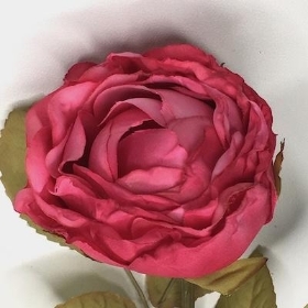 Vintage Fuchsia Rose 64cm