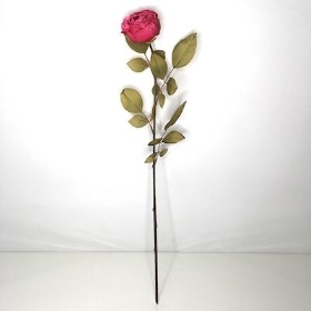 Vintage Fuchsia Rose 64cm