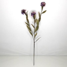 Purple Wild Scabious 53cm