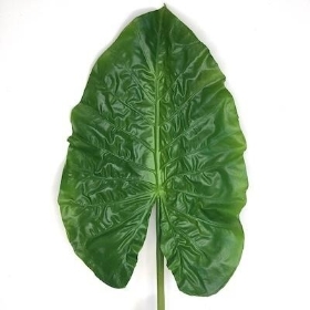 Green Alocasia Leaf 76cm