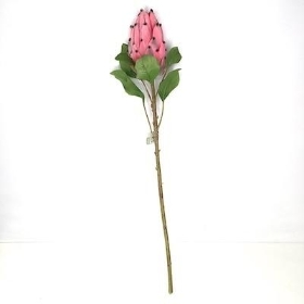 Pink Protea 70cm