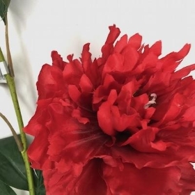 Red Wild Peony 81cm