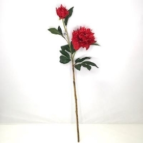 Red Wild Peony 81cm