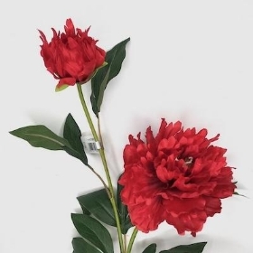 Red Wild Peony 81cm