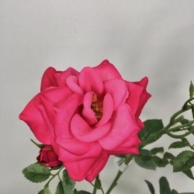 Hot Pink Spray Rose 60cm