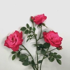 Hot Pink Spray Rose 60cm