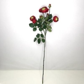 Red Cabbage Rose 74cm