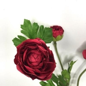 Cerise Ranunculus Spray 61cm