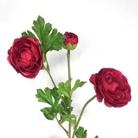 Cerise Ranunculus Spray 61cm