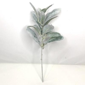 Green Lambs Ear 36cm