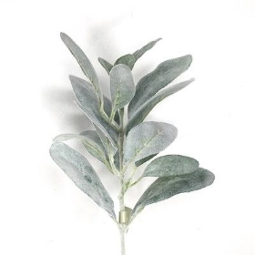 Green Lambs Ear 36cm