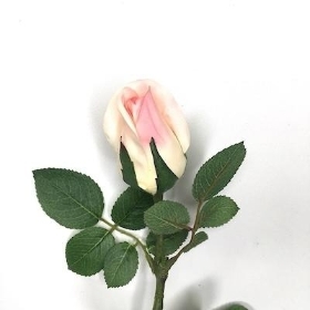 Pale Pink Rosebud 72cm