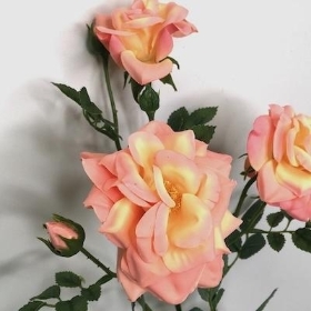 Peach Spray Rose 60cm