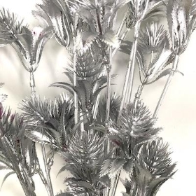 Silver Thistle 80cm x 3 Stems