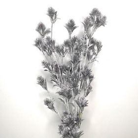 Silver Thistle 80cm x 3 Stems