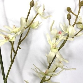 Ivory Dendrobium Orchid 96cm