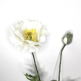 White Poppy And Bud 69cm