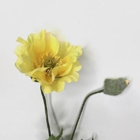 Yellow Poppy And Bud 69cm