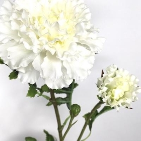 Ivory Marigold 65cm