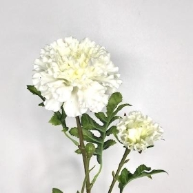 Ivory Marigold 65cm