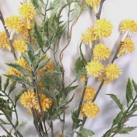 Yellow Frosted Thistle Bundle 67cm