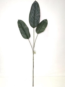 Green Calathea Spray 110cm