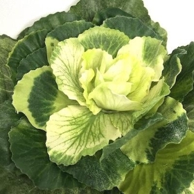 White Green Brassica 46cm