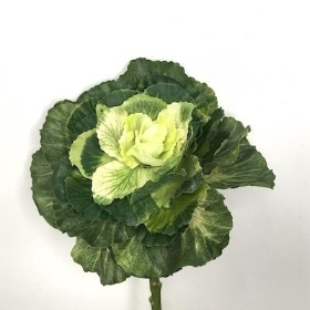 White Green Brassica 46cm