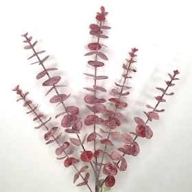 Burgundy Spiral Eucalyptus 66cm