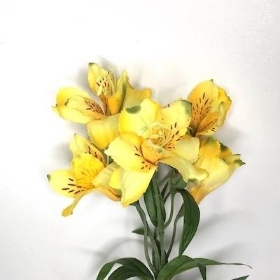 Yellow Alstroemeria 72cm