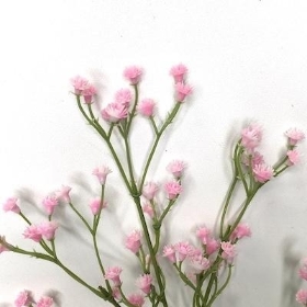 Pink Gypsophila 60cm