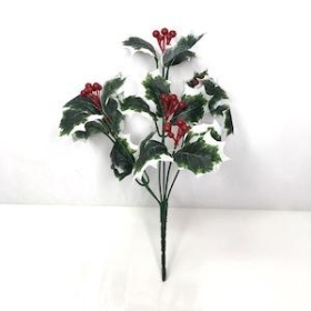 48 x Variegated Holly Berry Bush 28cm