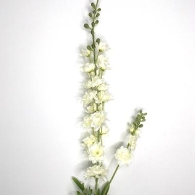 Ivory Delphinium 87cm