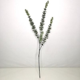 Silver Grey Eucalyptus 74cm