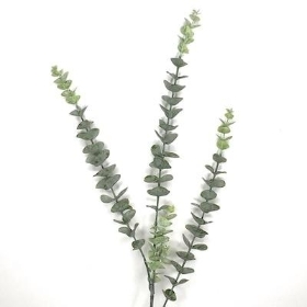 Silver Grey Eucalyptus 74cm