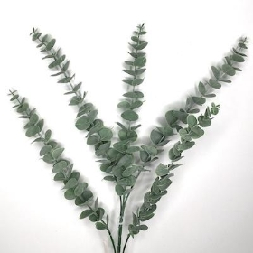 Silver Eucalyptus 80cm