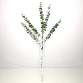 Baby Blue Eucalyptus 80cm