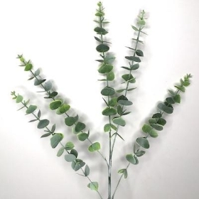Baby Blue Eucalyptus 80cm