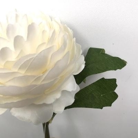 Ivory Ranunculus 28cm