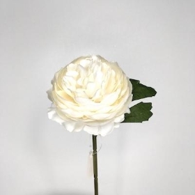 Ivory Ranunculus 28cm