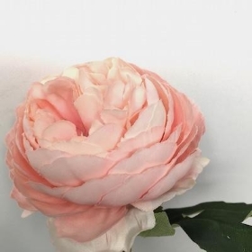Soft Pink Ranunculus 28cm
